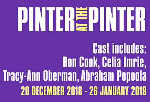 Pinter: Party Time/Celebration