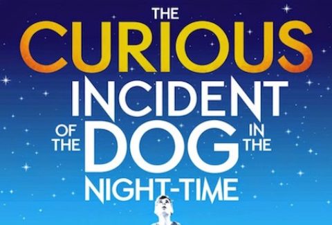 The Curious Incident of the Dog in the Night-Time