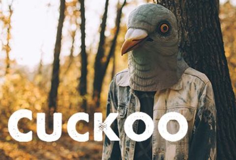 Cuckoo