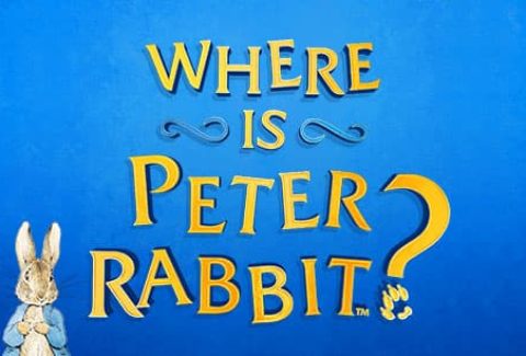 Where is Peter Rabbit?