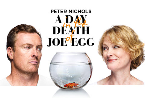 A Day in the Death of Joe Egg