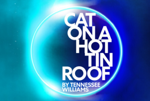 Cat On A Hot Tin Roof