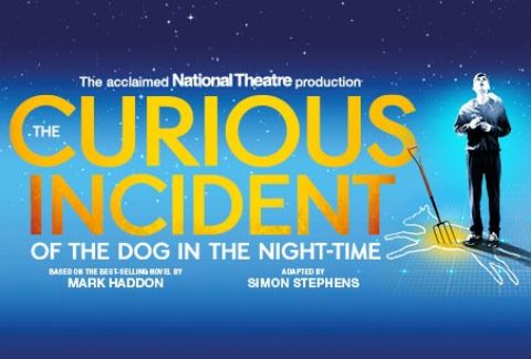 The Curious Incident of the Dog in the Night-Time