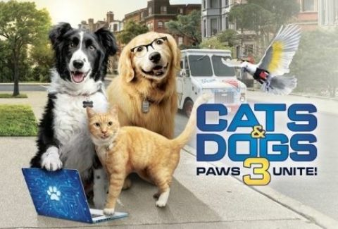 Cinema: Cats and Dogs 3: Paws Unite!