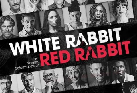 White Rabbit Red Rabbit