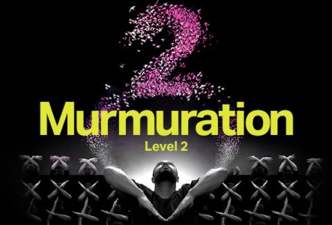 Murmuration Level 2